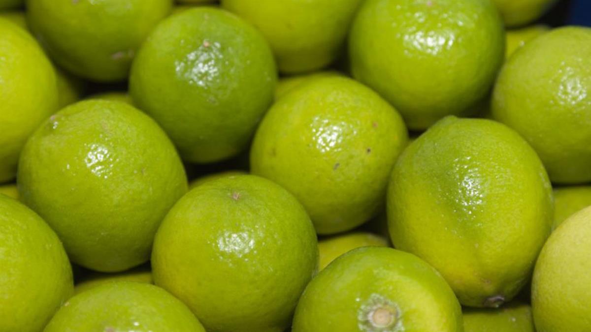 El objetivo es impulsar sistemas alimentarios sostenibles y respetuosos con el medio ambiente