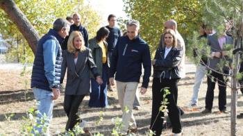 Convenio entre la Comunidad de Madrid y la FMM para facilitar la reforestación de la región