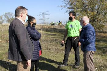 Se absorberán más de 3 toneladas de dióxido de carbono