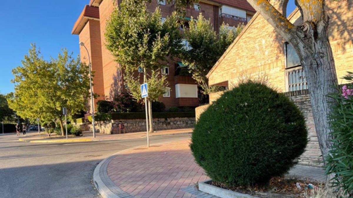 Entre las calles Córdoba/Santa Cecilia y las calles Cádiz/Puente de Tejada
