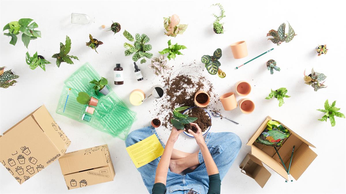 Lejos de los típicos bombones o flores, ¿por qué no elegir algo diferente esta vez? 