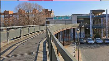 El plazo de ejecución del nuevo contrato será de dos meses 