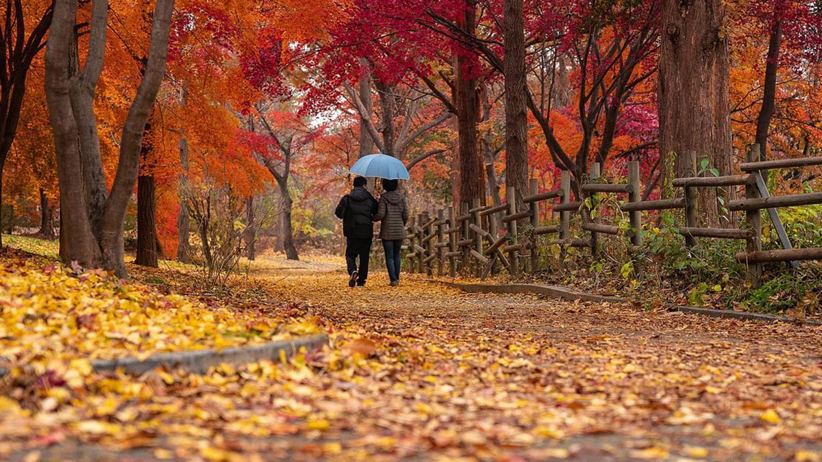 Se remodelarán ocho zonas infantiles con el objetivo de mejorar la accesibilidad a todo el mundo