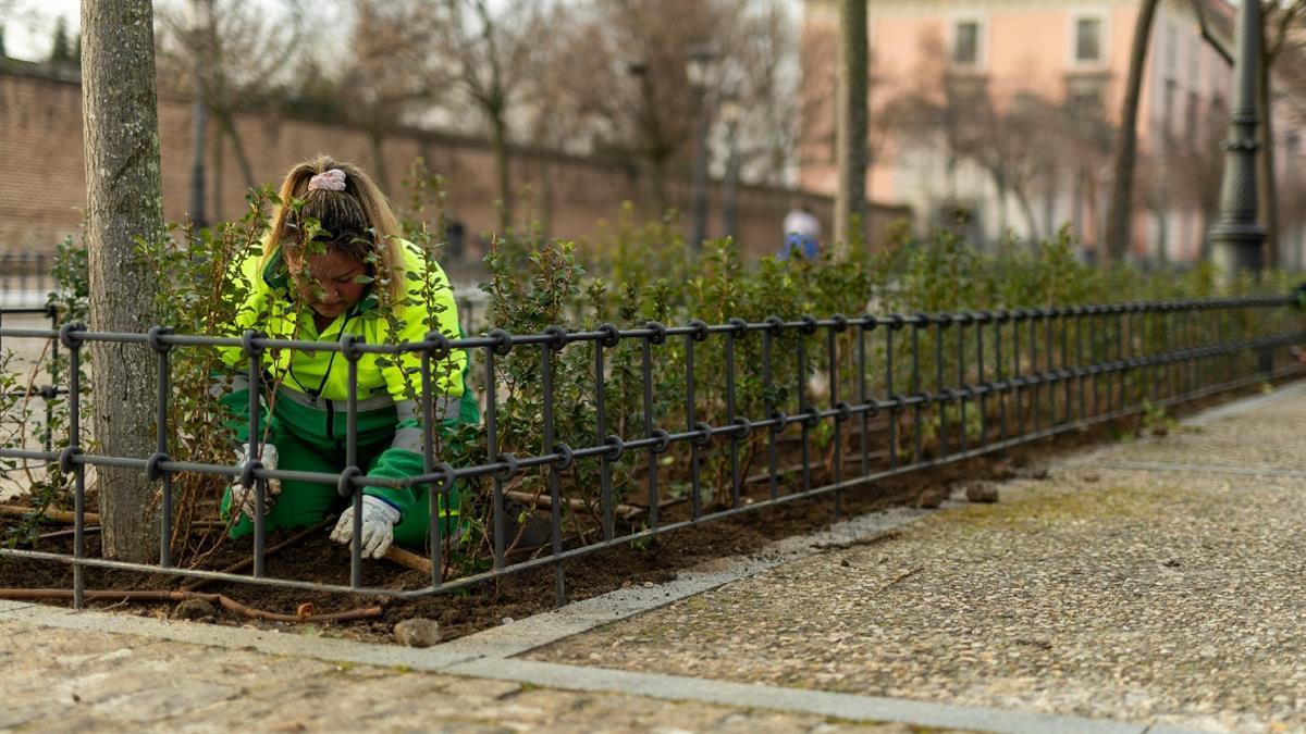 El Ayuntamiento está llevando a cabo una renovación en los parterres de la avenida Adolfo Suárez