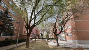 El Ayuntamiento invertirá cerca de 600.000 euros en rehabilitar los barrios de Umbral-La Indiana, Centro, El Prado y Parque Éboli