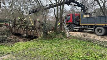 La actuación consistirá en el cambio de la antigua estructura de madera