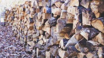 En la antigua depuradora del municipio