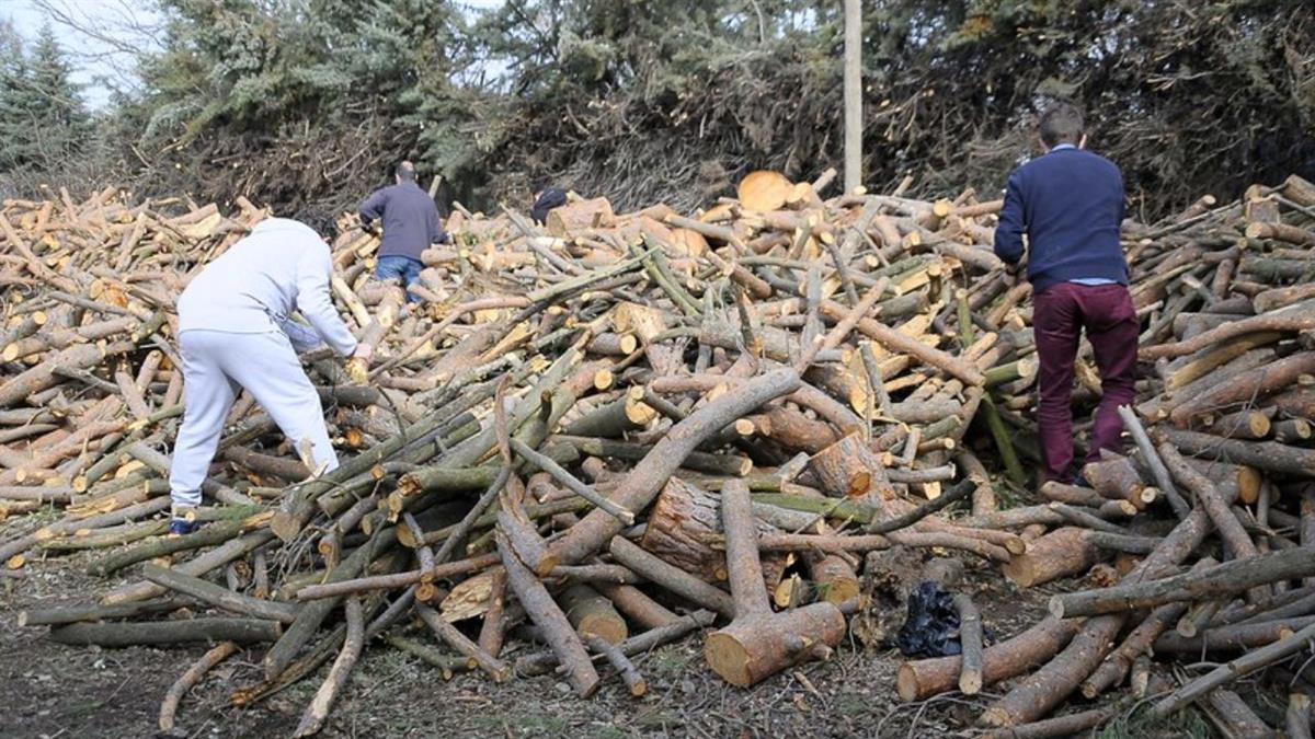 La entrega tendrá lugar el 17 de marzo