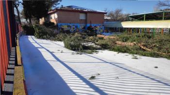 PSOE y Somos Pozuelo recogen las quejas del AMPA del colegio público para recuperar su pinar 