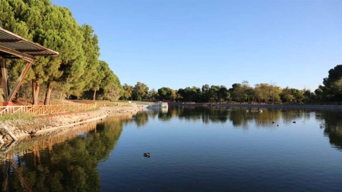 Se han detectado más casos de los habituales en el barrio de Sector 3