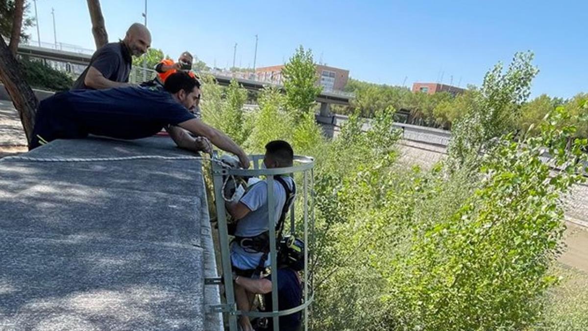 La Policía Municipal en colaboración con los Bomberos lo encontraron bajo el Puente de Andorra