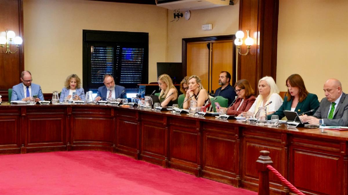 El pleno ordinario aprobó mociones para la implantación de un sistema de aparcabicicletas seguros