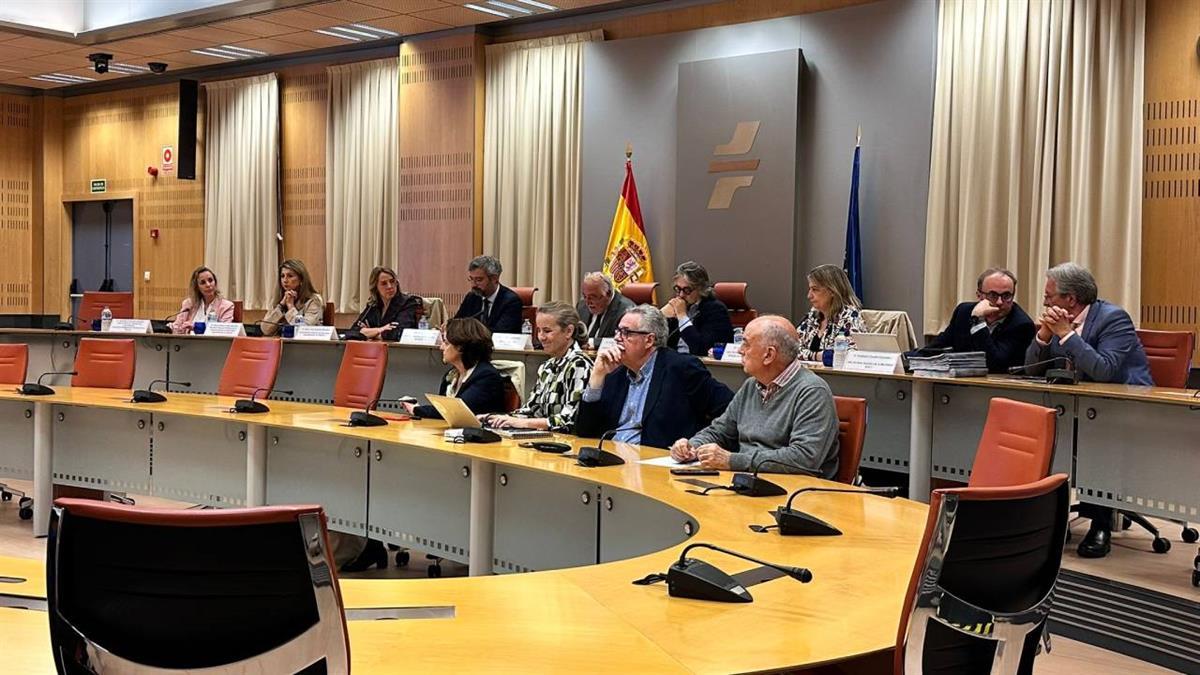 El objetivo es reforzar la accesibilidad del transporte público de viajeros