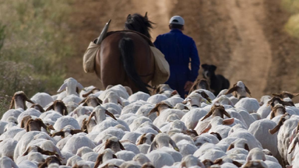 Los concejales de Urbanismo y Medio Ambiente re reunieron con el responsable de caminos de la Comunidad de Madrid, José Alberto Millán.