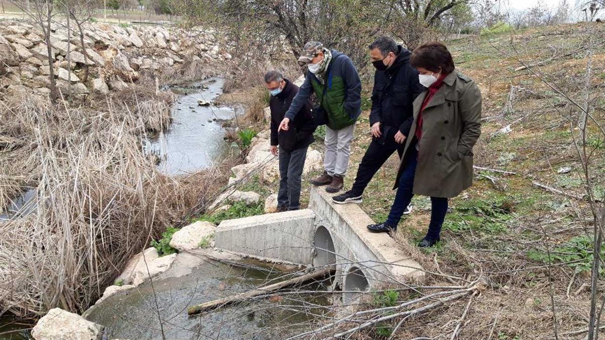La Plataforma Salvemos el Camarmilla se reúne con el Ayuntamiento para repasar sus actuaciones