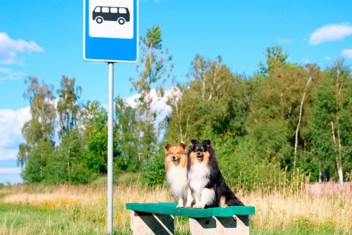 Fiscalía teme que tras el estado de alarma se disparen los abandonos