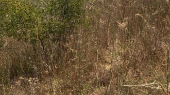 La falta de limpieza puede incrementar el riesgo de incendios 
