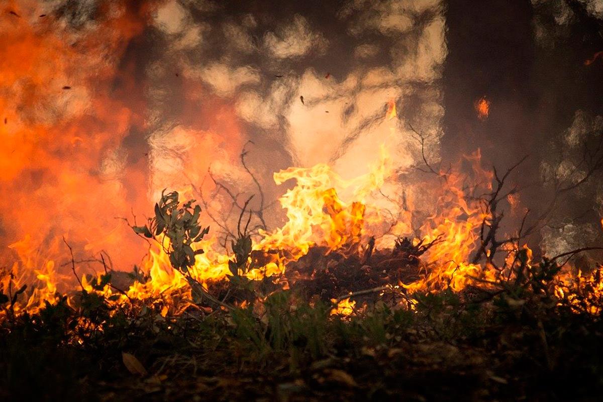 Los servicios de extinción de incendios de la región se encuentran en alerta