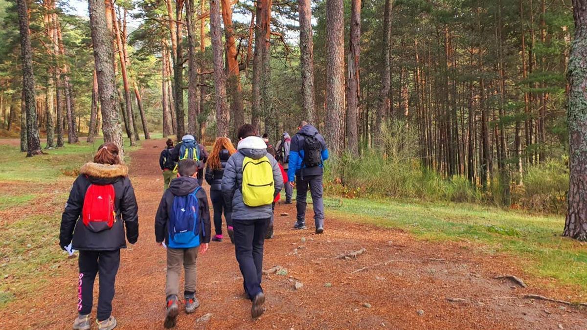 El recorrido por el Parque Forestal Bosquesur dará comienzo a las 12h en El Parque de “La Olla”