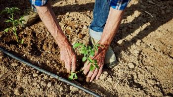 El Ayuntamiento de Rivas Vaciamadrid apuesta por la gestión integral del espacio.
