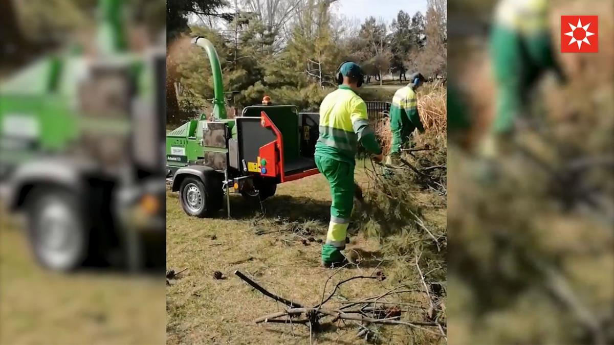 El lado positivo de Filomena en el medio ambiente