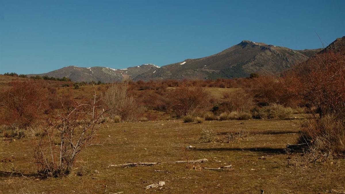 El club Boadillaventura organiza una ruta por la Senda de la Molilla