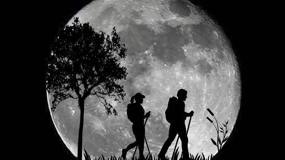 Disfruta recorriendo de noche diversas calles y caminos rurales del término municipal