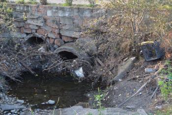 Esta plataforma ha presentado sus propuestas de mejora ecológica del entorno fluvial a la concejalía de Medio Ambiente