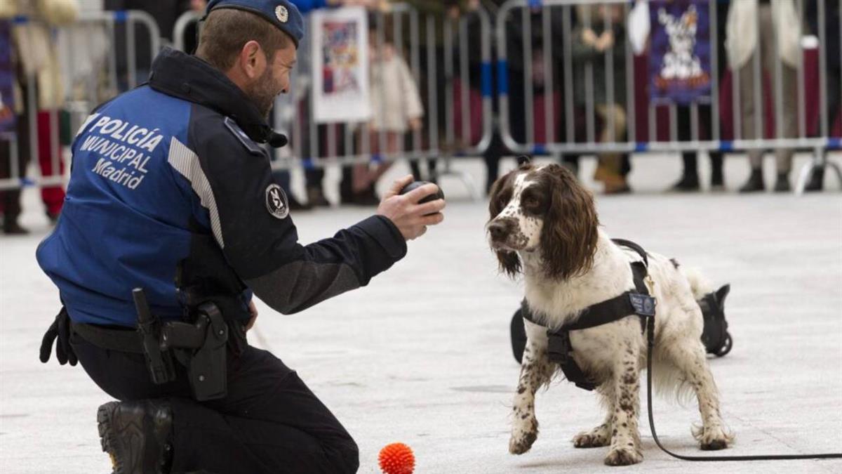 La programación comenzará el viernes 16 con una jornada dedicada a la ONCE