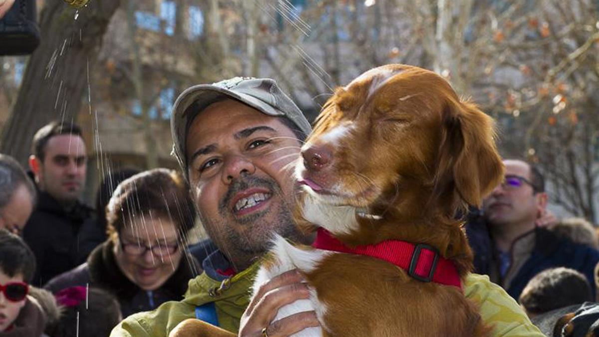 El domingo 23 de enero con diversos actos que comenzarán a las 12:00 horas