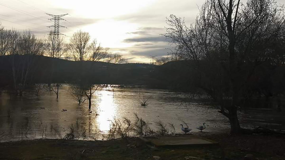 Este bien natural se encuentra altamente contaminado, afectando tanto a sus aguas como al entorno que lo rodea