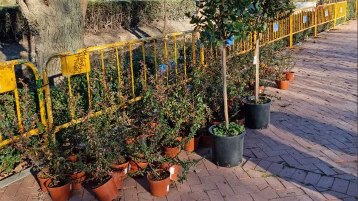 Los trabajos durarán entre 10 y 15 días, y se realizarán, íntegramente, con personal municipal