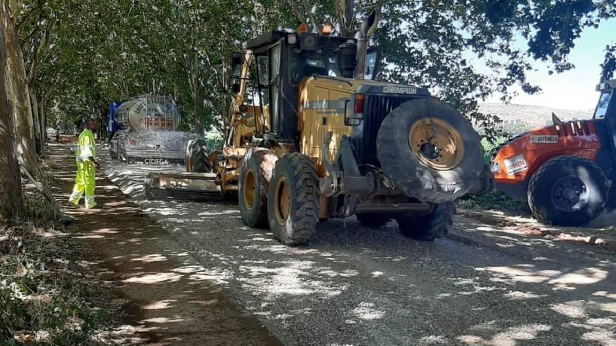 La ciudad ha comenzado por el Paseo de los Plátanos