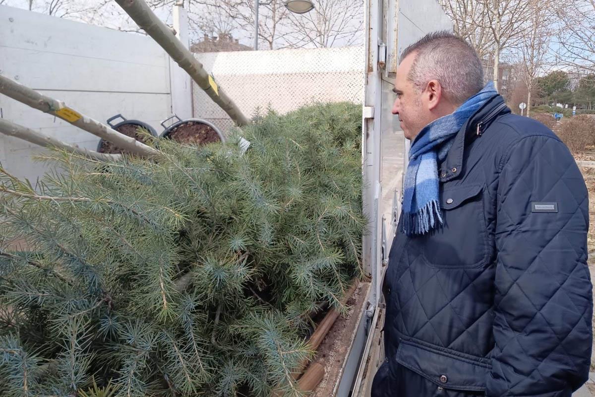 La legislatura finalizará con la plantación de 1000 árboles  