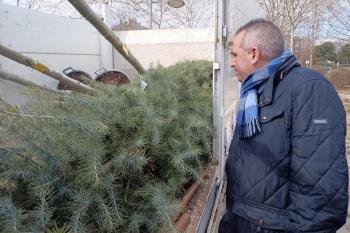 La legislatura finalizará con la plantación de 1000 árboles  