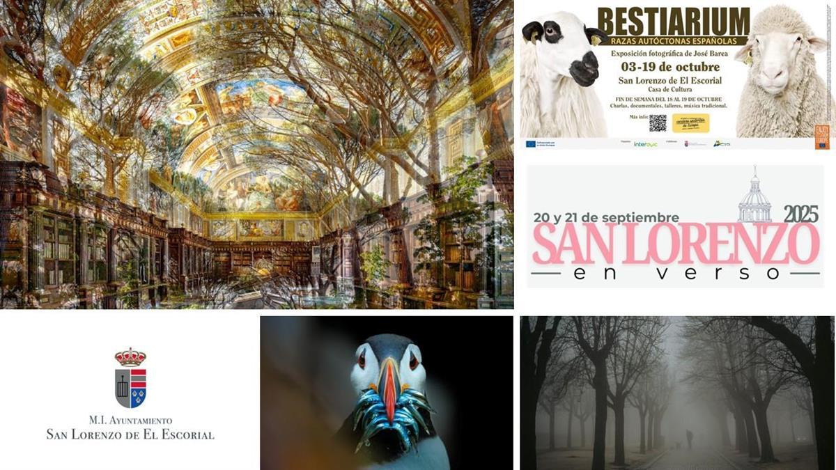 La Casa de Cultura encara su 45 aniversario con un inicio de curso repleto de exposiciones y mucha poesía