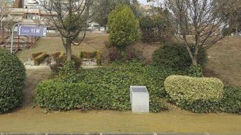 El ayuntamiento organiza una ofrenda floral y un minuto de silencio