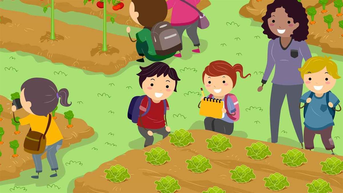 Los elegidos podrán elaborar un plato de comida con los ingredientes que ellos mismos han cultivado
