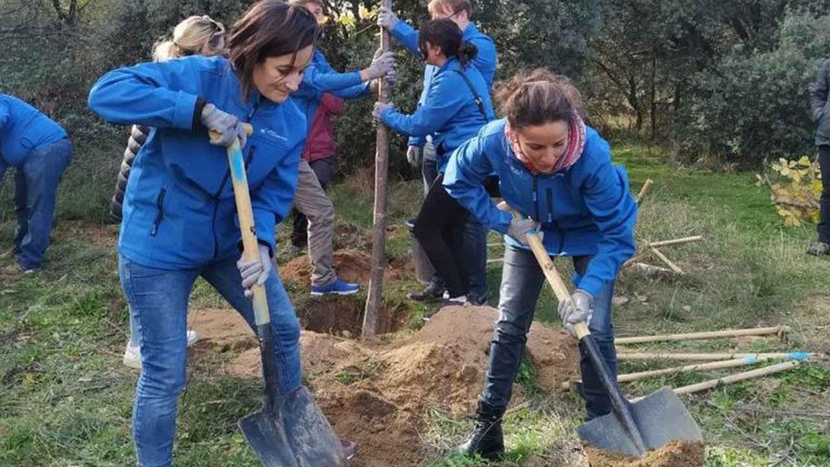 El Ayuntamiento y la Fundación FDI contarán con la ayuda de más de 400 voluntarios 