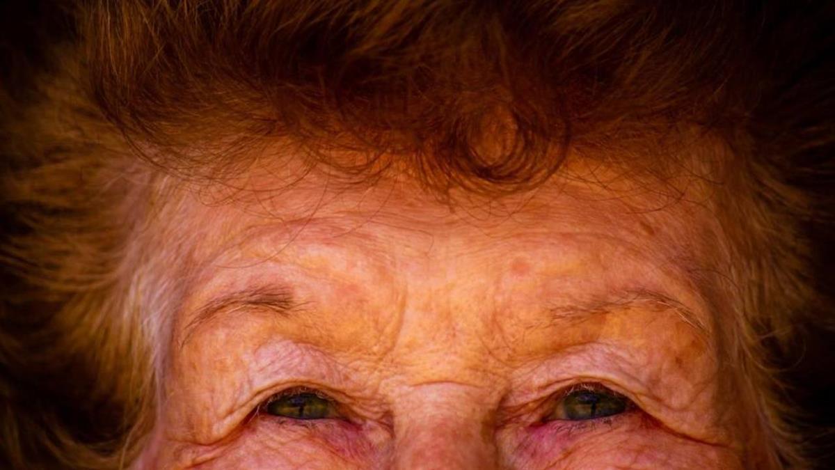 Contiene información de todos los servicios municipales y autonómicos 