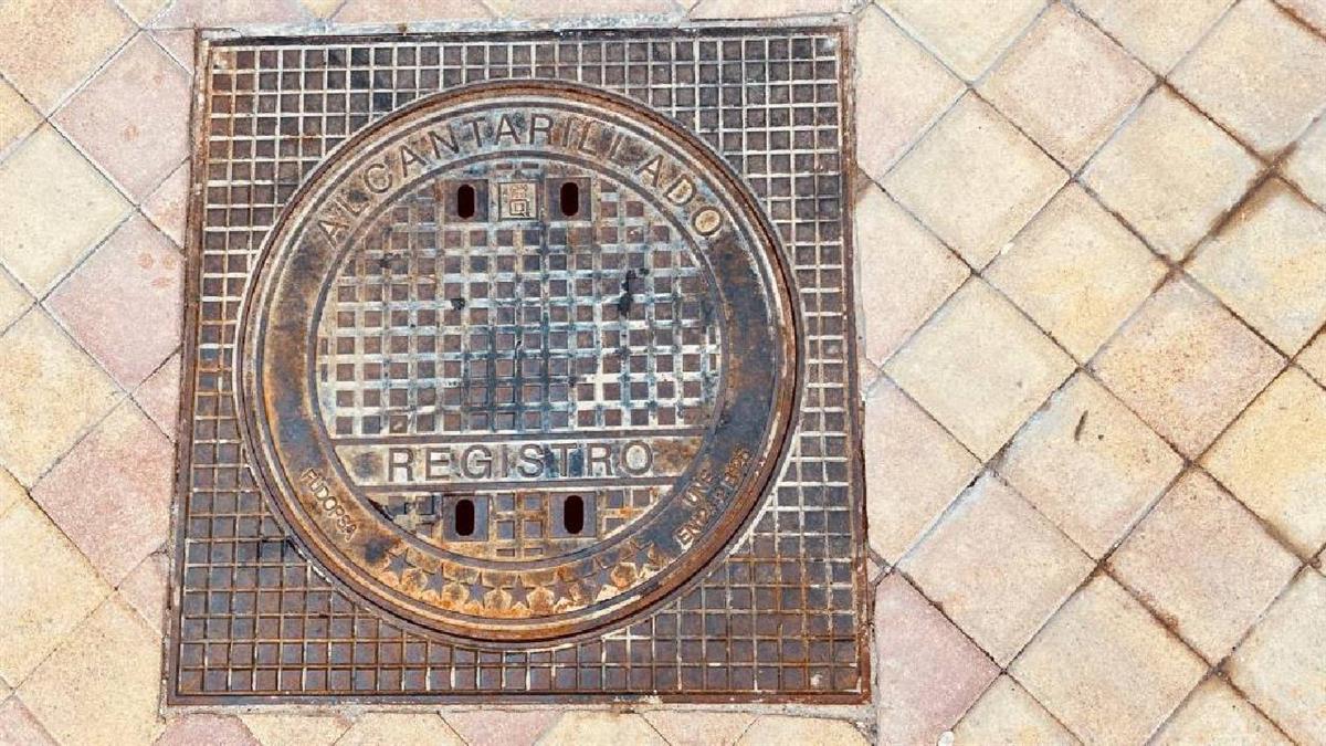 El Ayuntamiento multiplica los esfuerzos en la lucha contra las plagas con un nuevo contrato que triplica la dotación actual