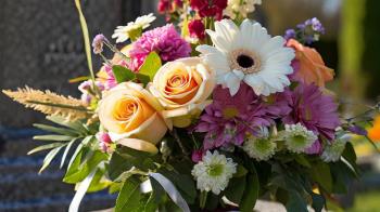 Los cementerios abrirán ininterrumpidamente desde el sábado 28 hasta el día 1 entre las 8:00 y 18:00   