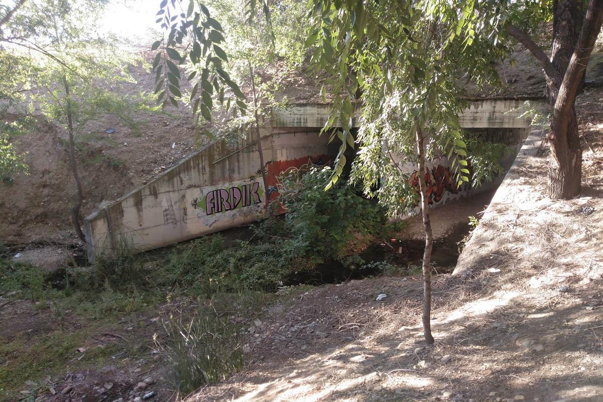 Desde su plataforma, se viene pidiendo un parque, y no urbano como el que se realizó