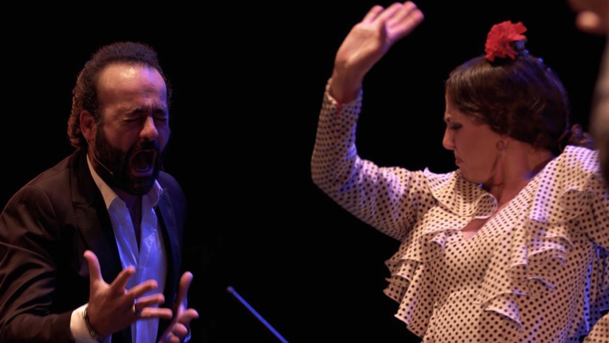 La Asociación Cultural Flamenca Jondo ha emitido un comunicado