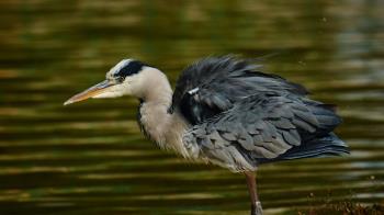 Arranca la segunda edición de este concurso fotográfico que busca compartir la imagen de la ciudad