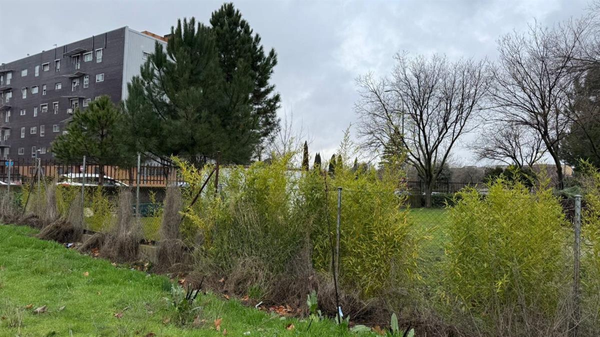 VOX solicita al Ayuntamiento una intervención inmediata en el centro