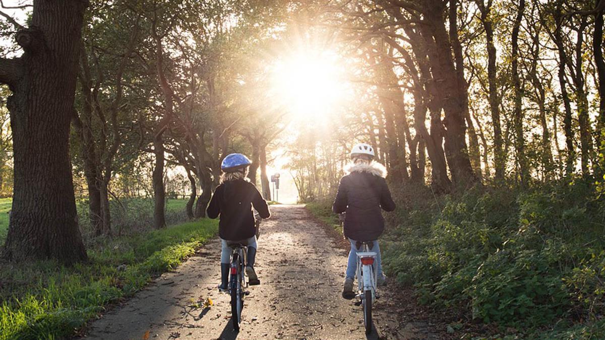 Esta semana se retoman las clases en todo el país y la DGT anima a desplazarse a pie, en bicicleta o en transporte público