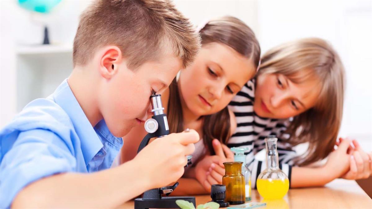 Las inscripciones para participar en la XXIII edición están abiertas entre los días 6 y 19 de noviembre
