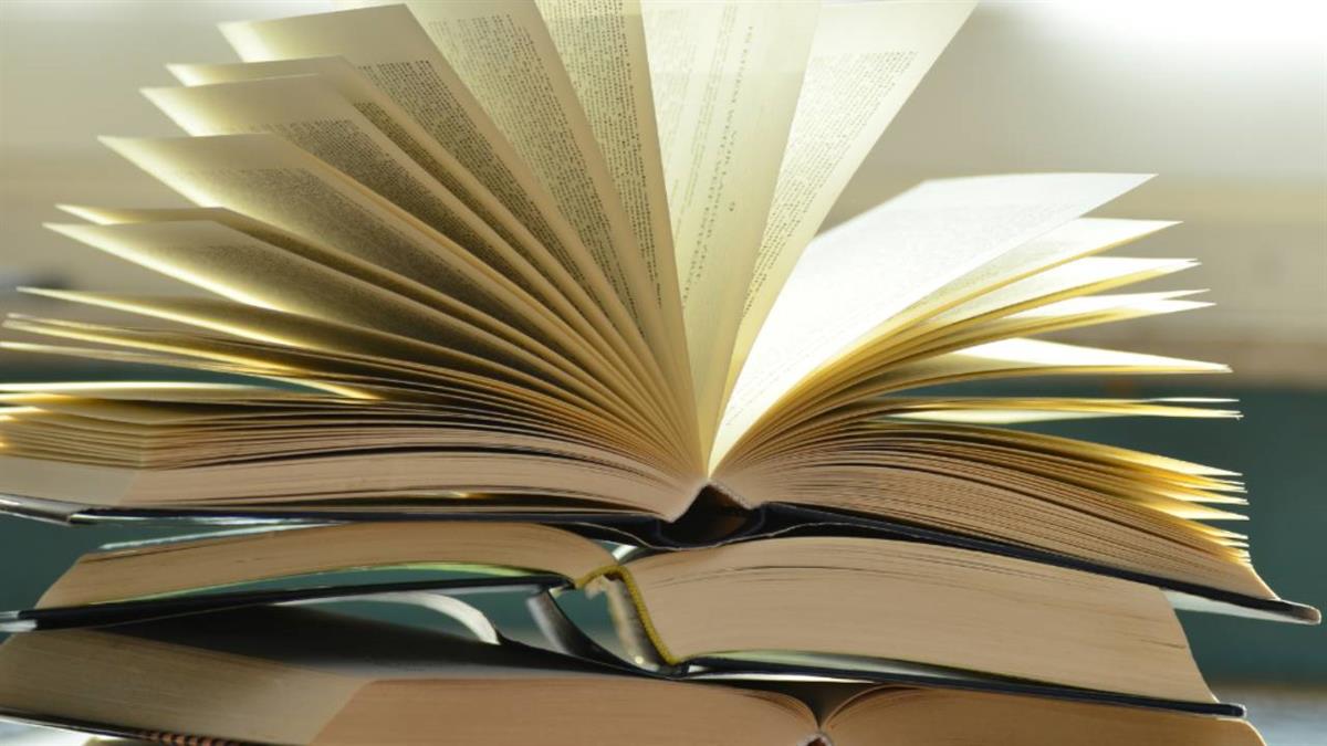 Con decenas de actividades y atractivas propuestas abiertas