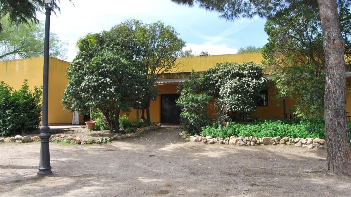 Incluyen actividades sobre compostaje, hierbas silvestres, cosmética natural, marionetas y espirulina